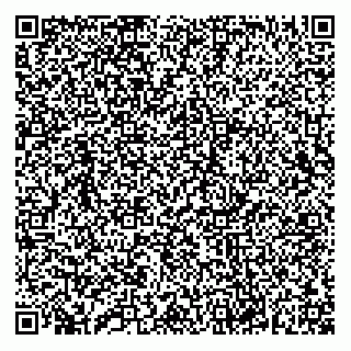 vCard 79063060253
