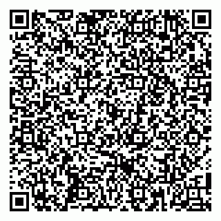 vCard 79100052931