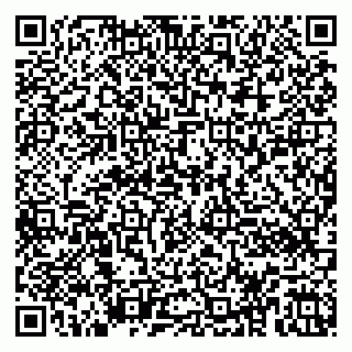 vCard 79100052981