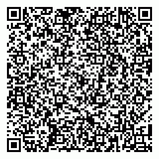 vCard 79100053033