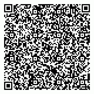 vCard 79100053041