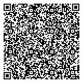 vCard 79100053073