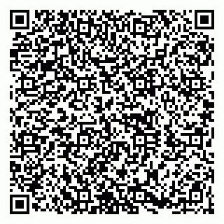 vCard 79100053129
