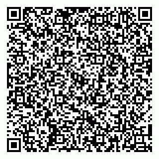 vCard 79100053174