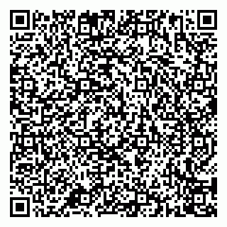 vCard 79136002904