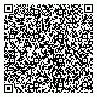 vCard 79136002931