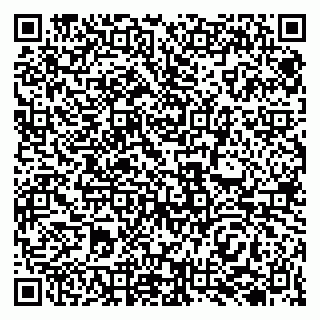 vCard 79138004104
