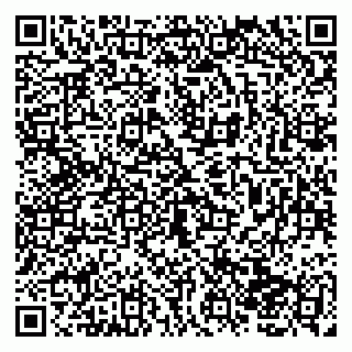 vCard 79138004118