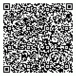 vCard 79138004129