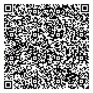 vCard 79138004171