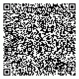 vCard 79138004179