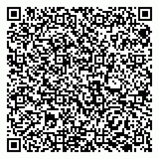 vCard 79138004184