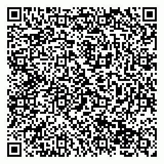 vCard 79138004242