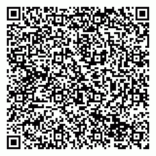 vCard 79138004275