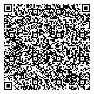 vCard 79138004278