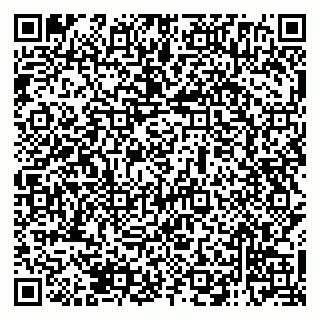 vCard 79138004365