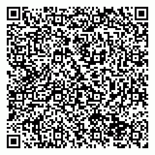 vCard 79138004383
