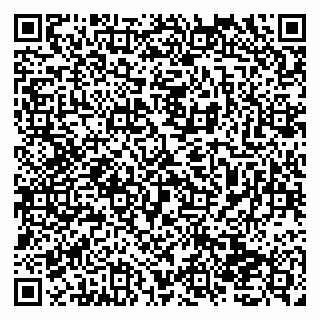 vCard 79138034103