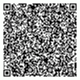 vCard 79160000063
