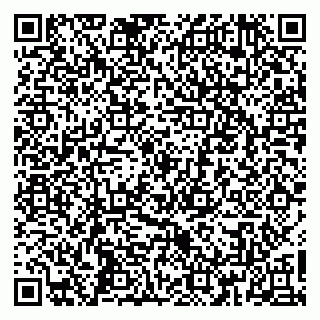 vCard 79160000101