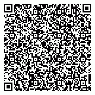 vCard 79160000163