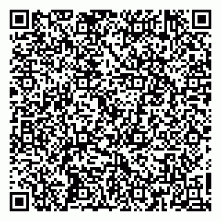 vCard 79160000203