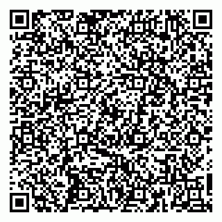vCard 79160000217