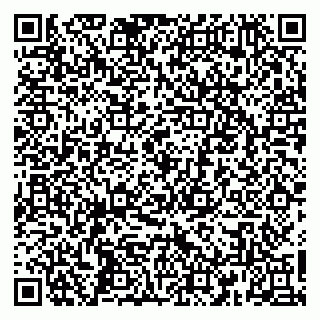 vCard 79160000294