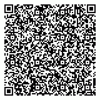 vCard 79160000313