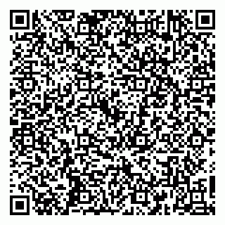 vCard 79160000393