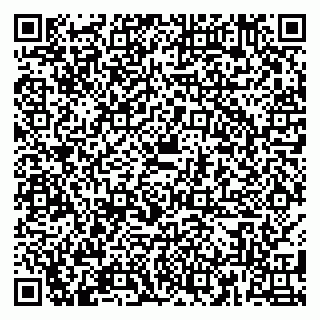 vCard 79180000011