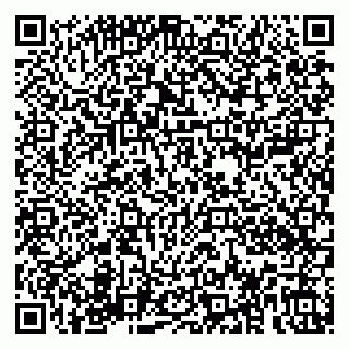 vCard 79180000099