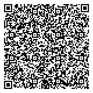 vCard 79180000113