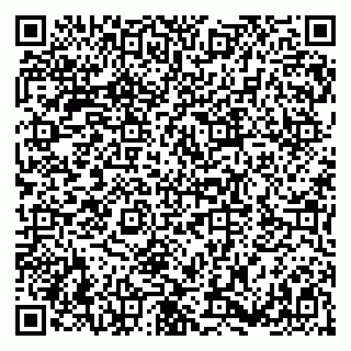 vCard 79180000131