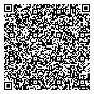 vCard 79180000133