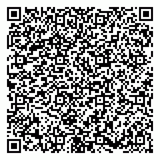 vCard 79180000135