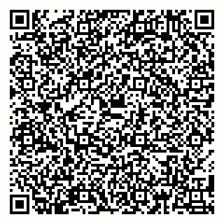 vCard 79180000161