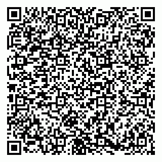 vCard 79180000175