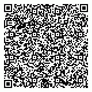 vCard 79180000176