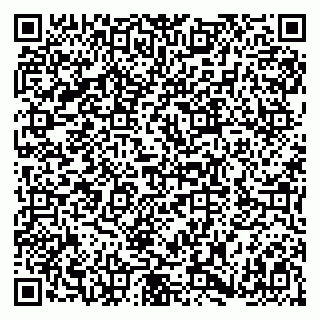 vCard 79180000181