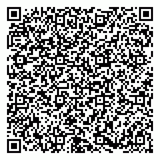 vCard 79180000213