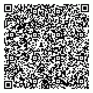 vCard 79180000272