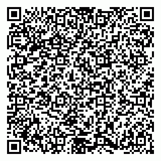 vCard 79180000294