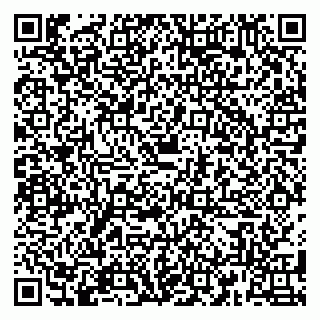 vCard 79180000295
