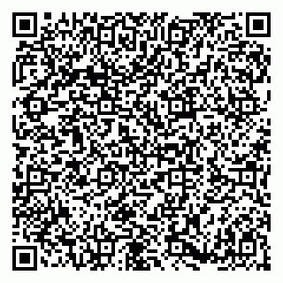 vCard 79180000304