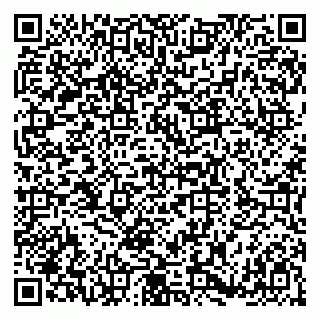 vCard 79180000306
