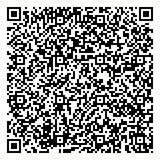 vCard 79180000331