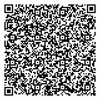 vCard 79180000369