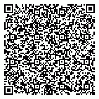 vCard 79180000380