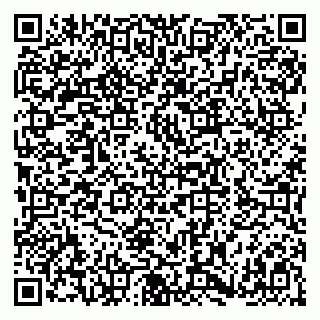 vCard 79180000381